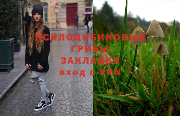 гашик Аркадак