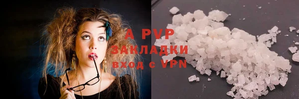 гашик Аркадак
