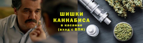 гашик Аркадак