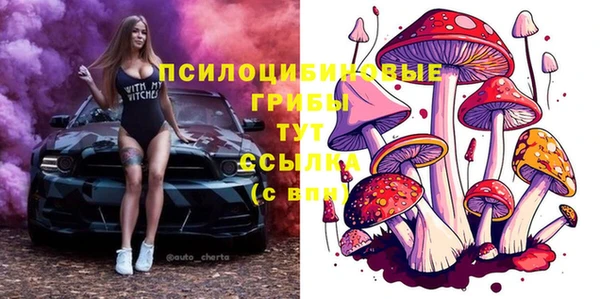 гашик Аркадак