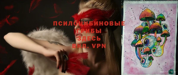гашик Аркадак
