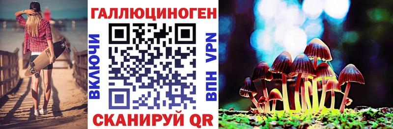 Галлюциногенные грибы GOLDEN TEACHER  цены наркотик  Новосокольники 